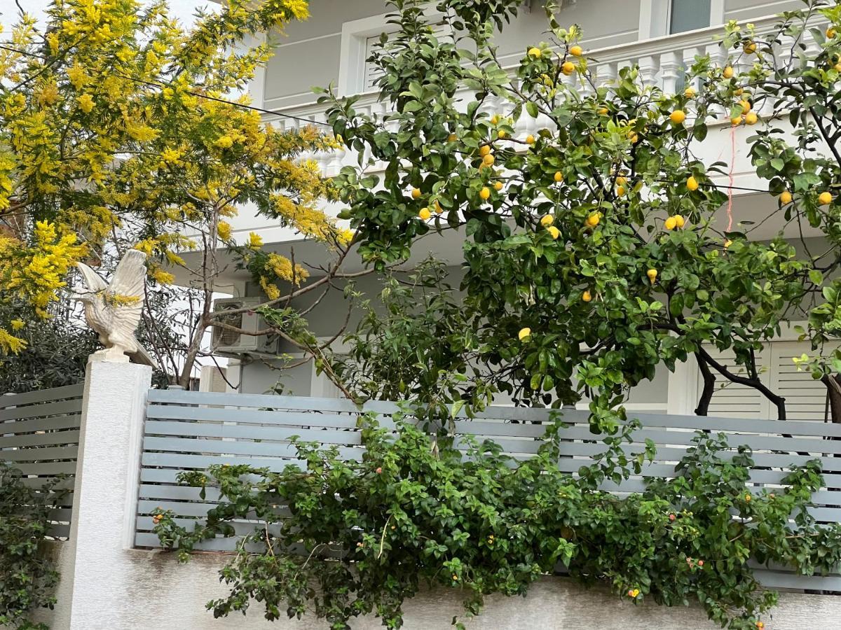 Apartments & Studios Ardian-Mandi Sarande-Albania 外观 照片